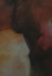 lascaux